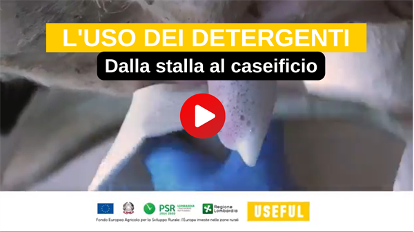 Progetto USEFUL | VIDEO L’influenza dei detergenti sulla qualità microbiologica del latte alla stalla