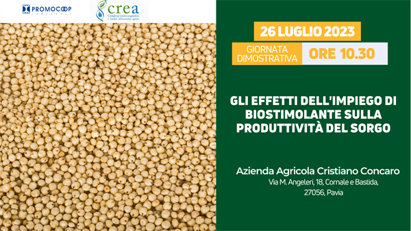 26 luglio | Giornata dimostrativa “Gli effetti dell’impiego di biostimolante sulla produttività del sorgo”