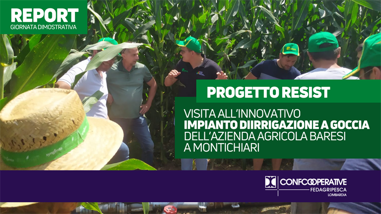 PROGETTO RESIST | Visita guidata con gli esperti COMAB nelle coltivazioni di mais dell’Azienda Baresi
