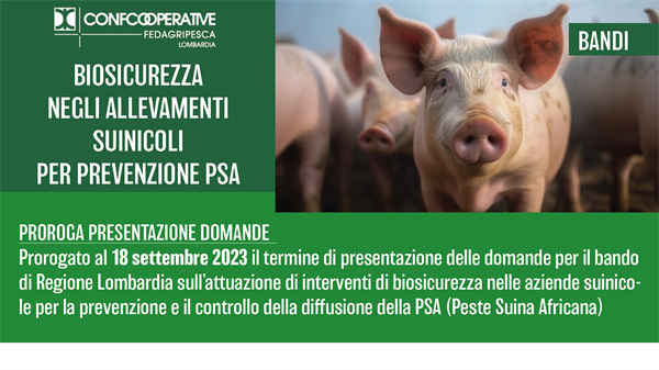 Bando biosicurezza allevamenti suini, prorogato il termine per la presentazione delle domande