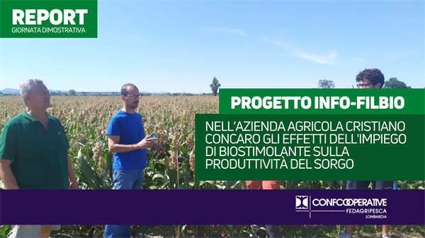 PROGETTO INFO-FILBIO Nell’azienda agricola Cristiano Concaro gli effetti dell’impiego di biostimolante sulla produttività del sorgo