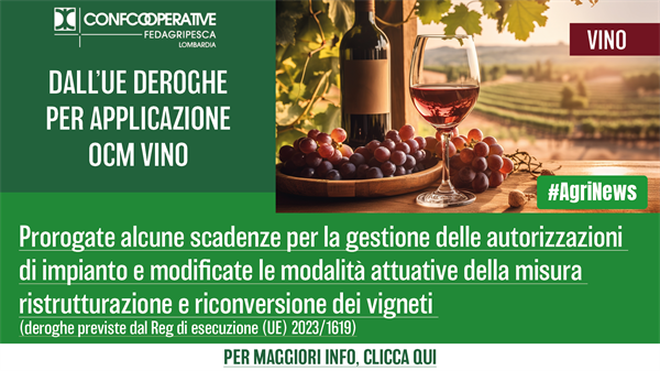 VINO - dall’UE deroghe alle autorizzazioni di impianto e a misura ristrutturazione e riconversione dei vigneti