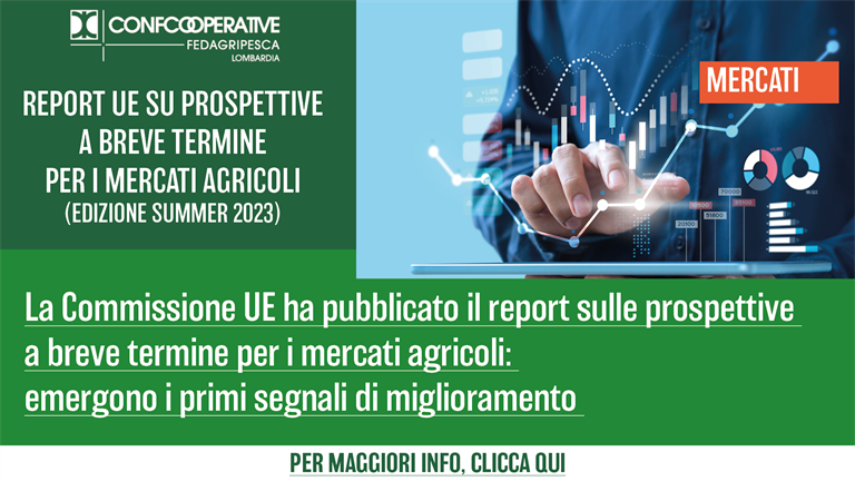 UE - primi segnali di miglioramento nei mercati agricoli