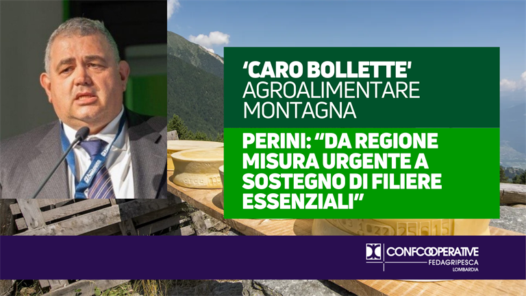 'Caro bollette' agroalimentare montagna, Perini (Confcooperative FedAgriPesca Lombardia): da Regione misura urgente a sostegno di filiere essenziali