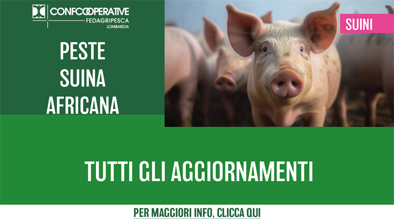 PSA, tutti gli aggiornamenti