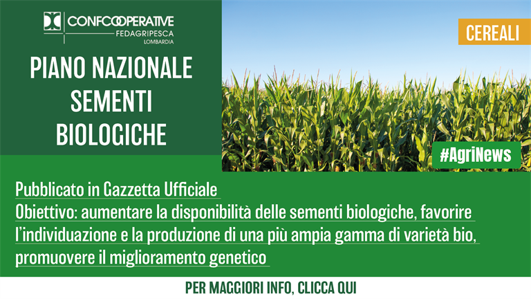 Pubblicato il Piano Nazionale delle sementi biologiche