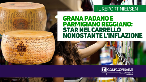 Grana Padano e Parmigiano Reggiano DOP: star nel carrello nonostante l’Inflazione