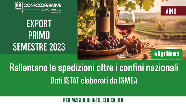 Vino, frenata per l’export nel primo semestre 2023