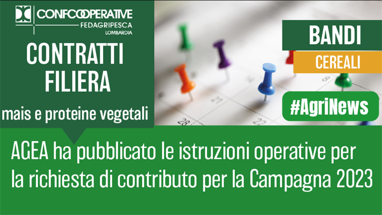 Da AGEA istruzioni operative per contratti filiera per mais e proteine vegetali per il 2023