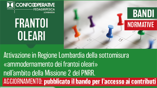 Frantoi oleari, Regione pubblica il bando per l’accesso ai contributi per ammodernamento