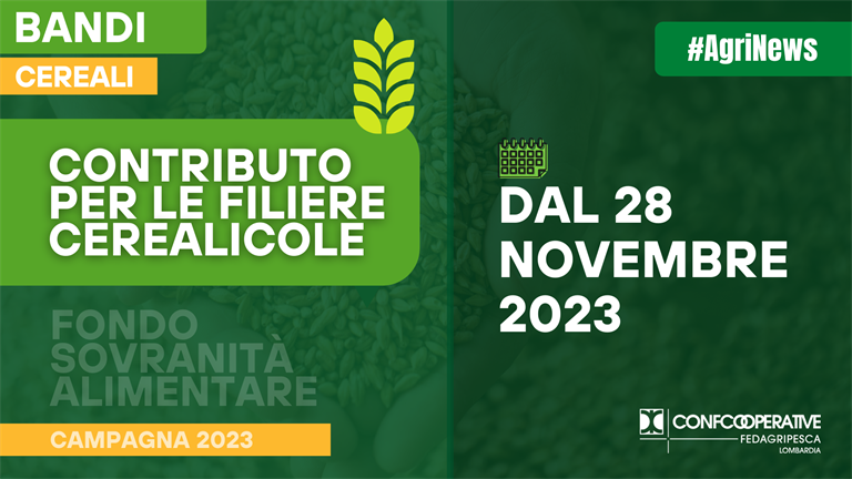 Contributo filiere cerealicole: da Agea istruzioni operative "Fondo sovranità alimentare - Campagna 2023"