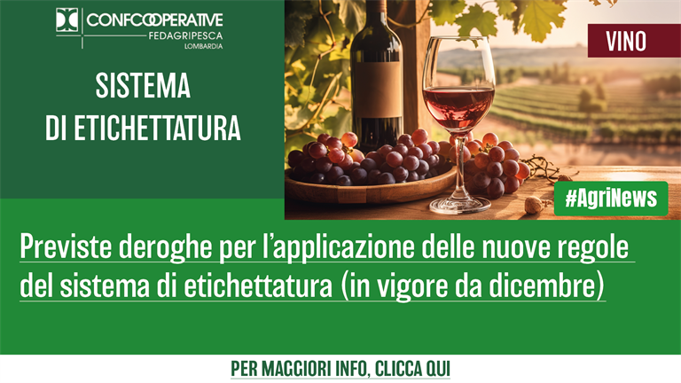 Vino, deroghe per l’applicazione delle nuove regole del sistema di etichettatura