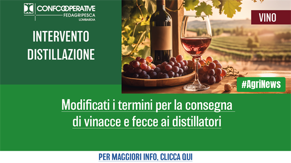 Vino, modificati i termini per la consegna di vinacce e fecce ai distillatori