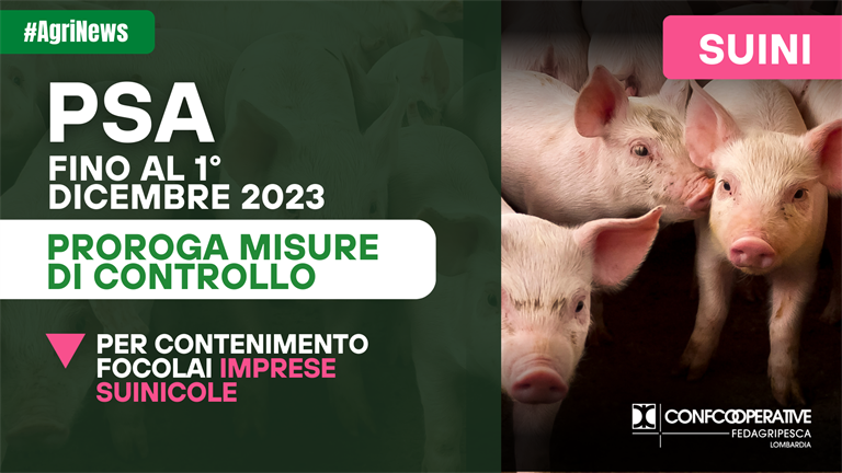 PSA, prorogate al 1° dicembre 2023 le misure di controllo negli allevamenti suinicoli