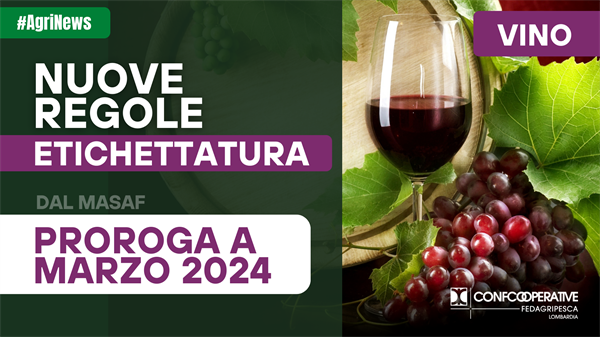 Vino, prorogate a marzo 2024 le nuove regole sull’etichettatura