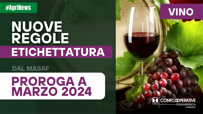 Vino, prorogate a marzo 2024 le nuove regole sull'etichettatura