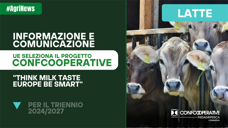 Lattiero Caseario, UE seleziona il progetto "Think Milk Taste Europe Be Smart" per il triennio 2024/2027