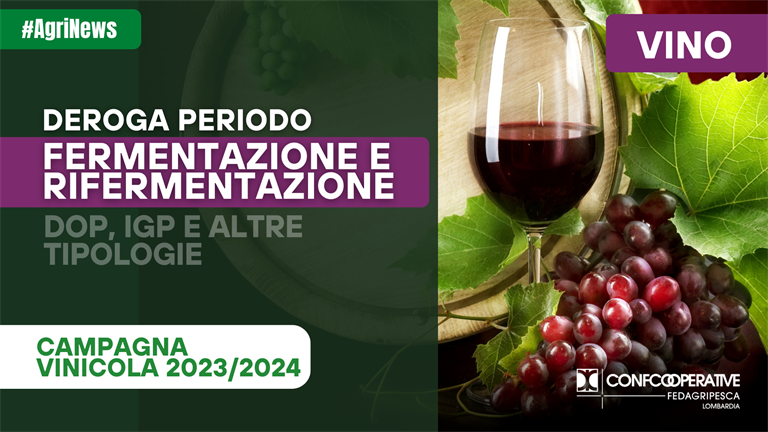 Vini Dop e Igp, deroga al periodo di fermentazione e rifermentazione