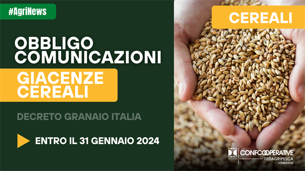 Cereali, entro fine gennaio obbligo comunicazione giacenze