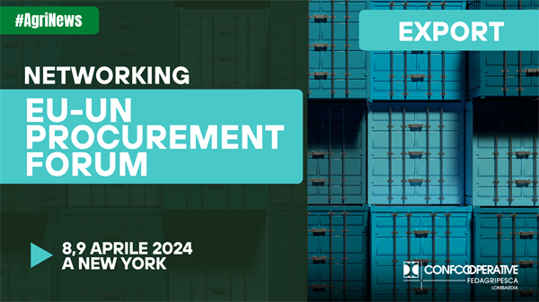 Partecipa all’EU-UN Procurement Forum - New York, 8 e 9 aprile 2024