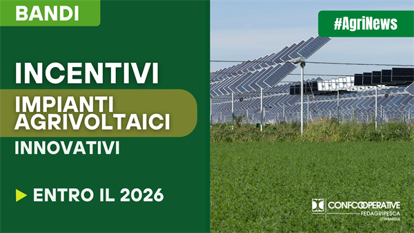 Incentivi per impianti agrivoltaici innovativi entro il 2026