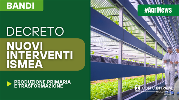 Agroalimentare, il Decreto con i nuovi interventi ISMEA a sostegno delle imprese