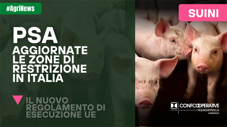 PSA, aggiornate le zone di restrizione in Italia. I nuovi comuni