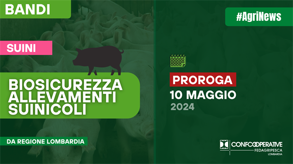 PSA, prorogato il II° bando biosicurezza suini