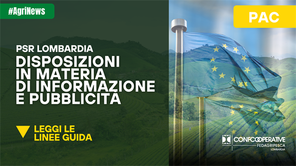 Interventi PSR 2023-27, le disposizioni regionali aggiornate in materia di informazione e pubblicità