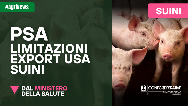 PSA, limitazioni Export Usa suini