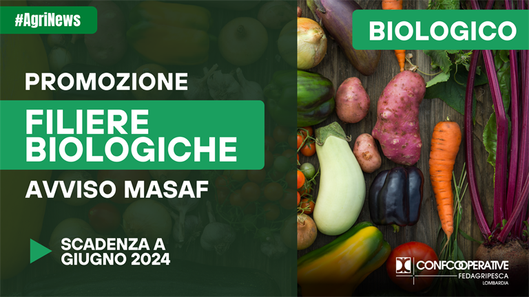 Filiere biologiche, Avviso Masaf per progetti di promozione