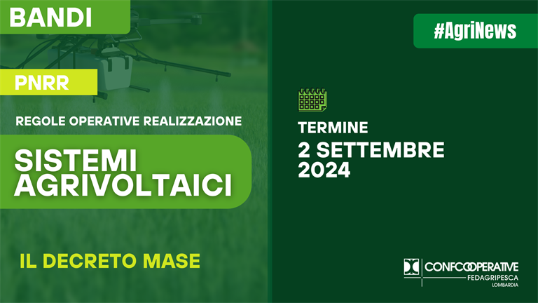 Nuove regole operative per l'Agrivoltaico: Decreto Ministeriale Pubblicato