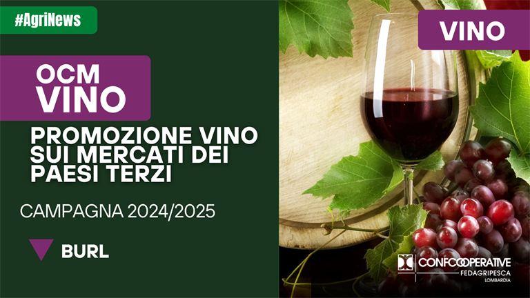 OCM Vino, misura promozione, campagna 2024/25