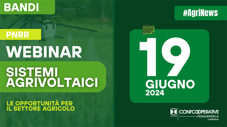 Webinar sul decreto Agrivoltaico, le opportunità per il settore agricolo ed energetico