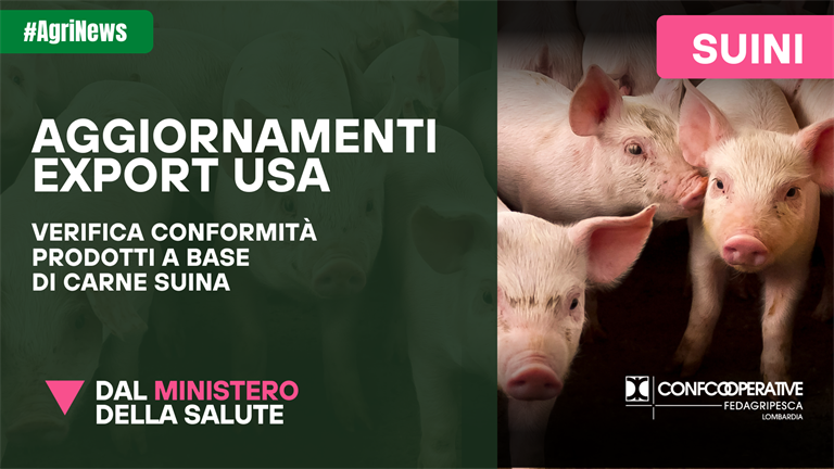 Suini, aggiornamenti sull'export verso gli USA
