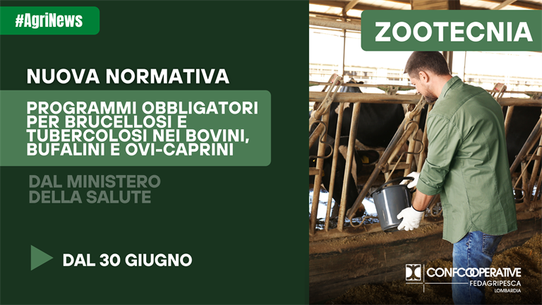Zootecnia, programmi obbligatori per brucellosi e tubercolosi nei bovini, bufalini e ovi-caprini