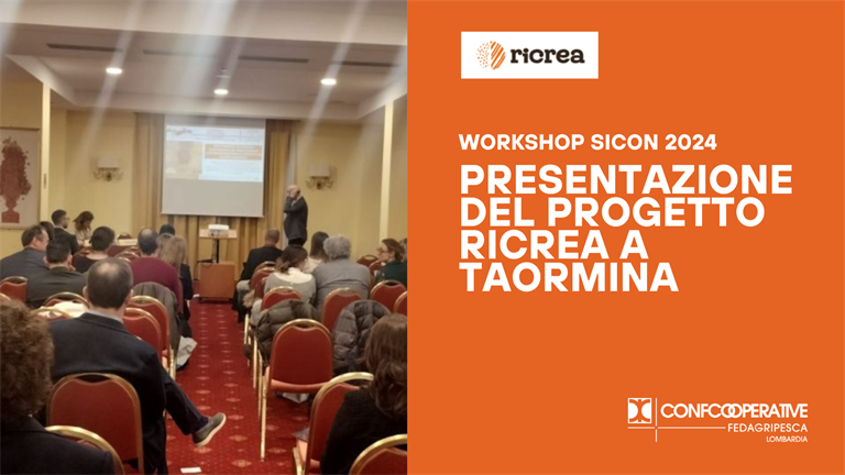 La presentazione del progetto Ricrea al Workshop SiCon 2024 di Taormina