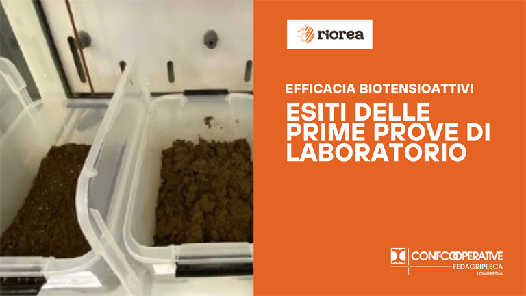 Gli esiti delle prime prove di laboratorio sull'efficacia dei Biotensioattivi