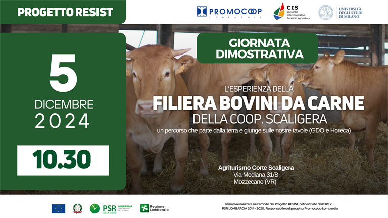 5 dicembre | Progetto Resist, filiera bovina: giornata dimostrativa della Cooperativa Scaligera a Verona