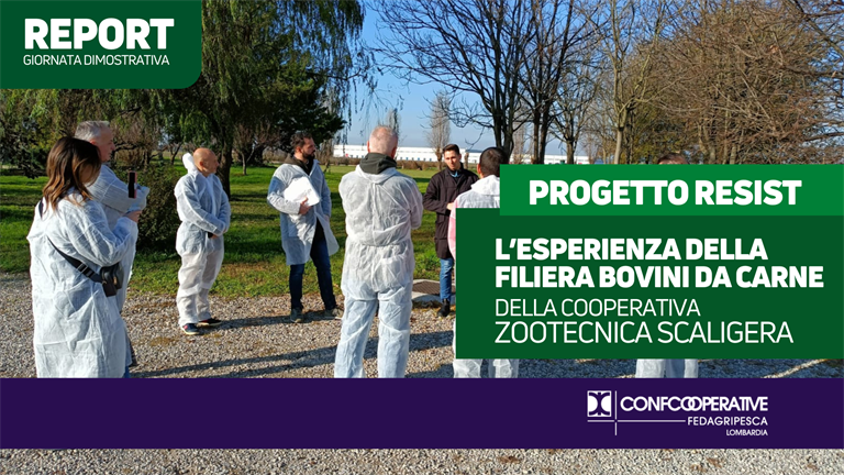 L’esperienza della filiera bovini da carne della Cooperativa Zootecnica Scaligera