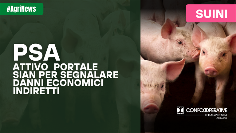 PSA, attivo sul portale SIAN il servizio per segnalare i danni economici indiretti