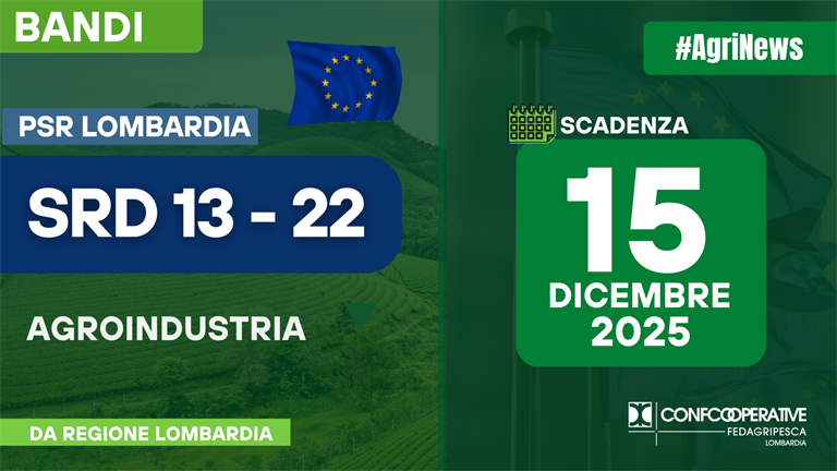 PSR - AGROINDUSTRIA - Pubblicato il bando SRD13 -22