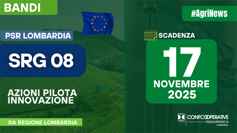 BANDI PSR - INNOVAZIONE - SRG08 Azioni pilota