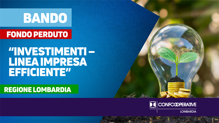 Bando “Investimenti – Linea Impresa Efficiente”