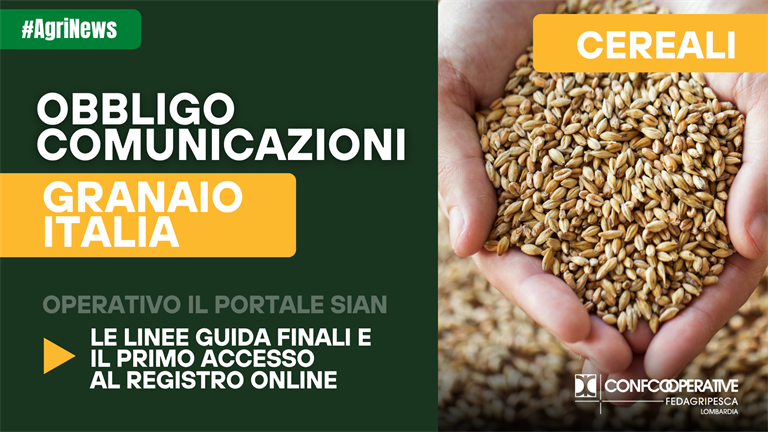 Cereali: al via dal 31 luglio il nuovo sistema di monitoraggio – obblighi e soglie da conoscere