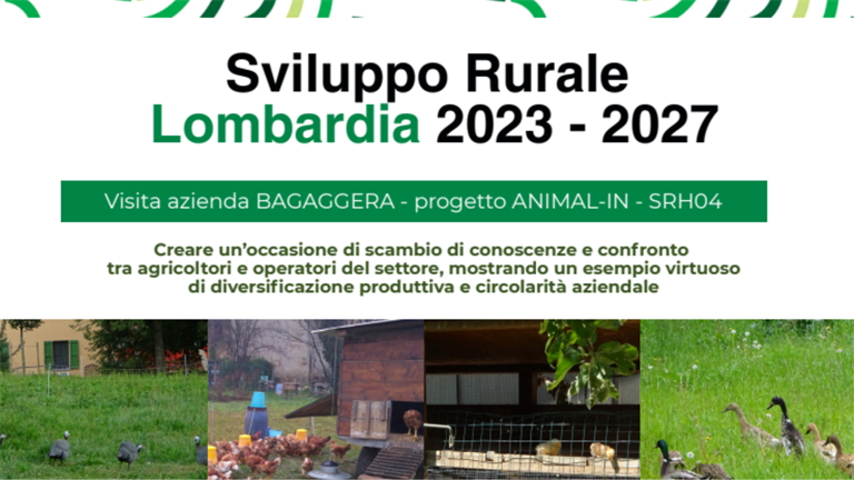 Progetto ANIMAL - IN | Sviluppo rurale e innovazione sostenibile: visita all’azienda Bagaggera