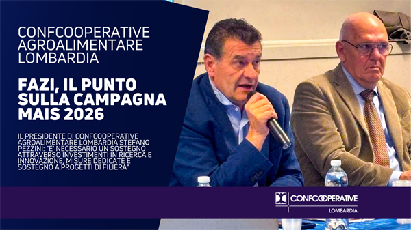 Fazi, campagna mais 2026 in emergenza: qualità compromessa per il 60% del raccolto