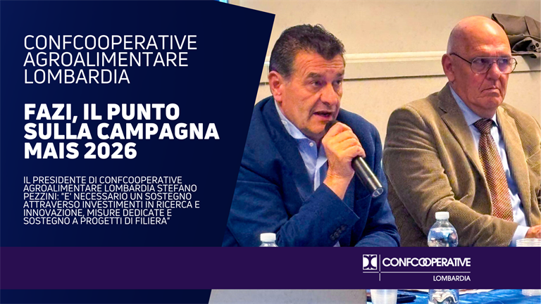 Fazi, campagna mais 2026 in emergenza: qualità compromessa per il 60% del raccolto