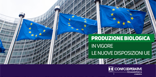 In vigore le nuove disposizioni europee sulla produzione...