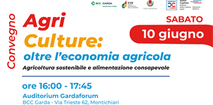 Sabato 10 giugno a Montichiari il convegno 